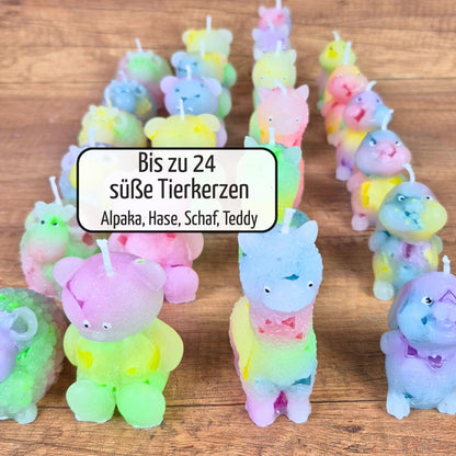 DIY-Set Kerzen gießen Tiere | bis zu 24 Tierkerzen selber machen