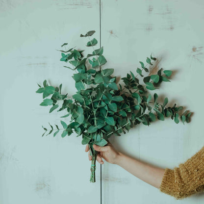 DIY Bastelset Eukalyptuskranz