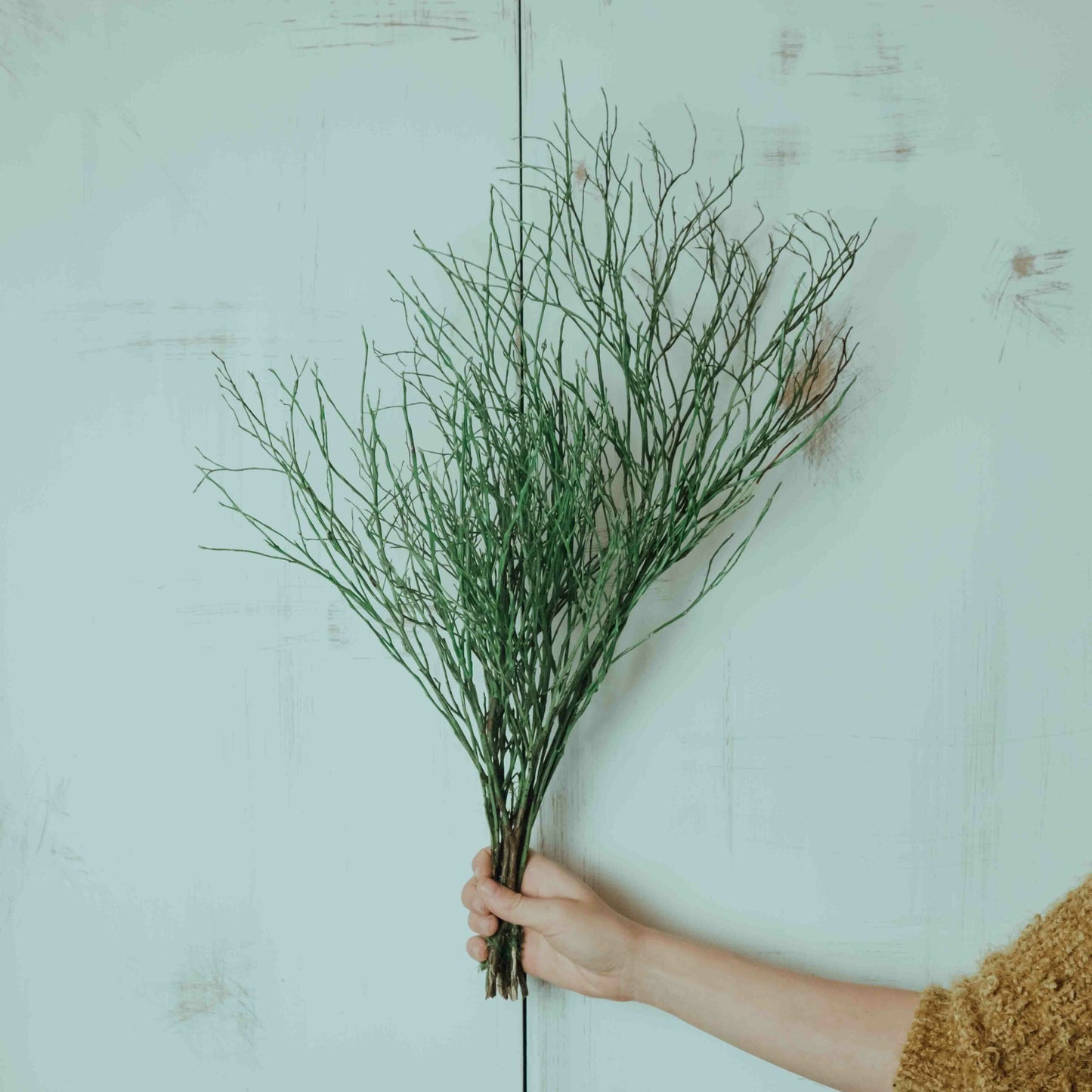 DIY Bastelset Eukalyptuskranz