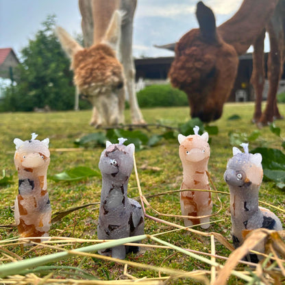 Alpaka Kerzen 4er Set – Handgemachte Tierkerzen aus Wachs | Deko & Geschenkidee