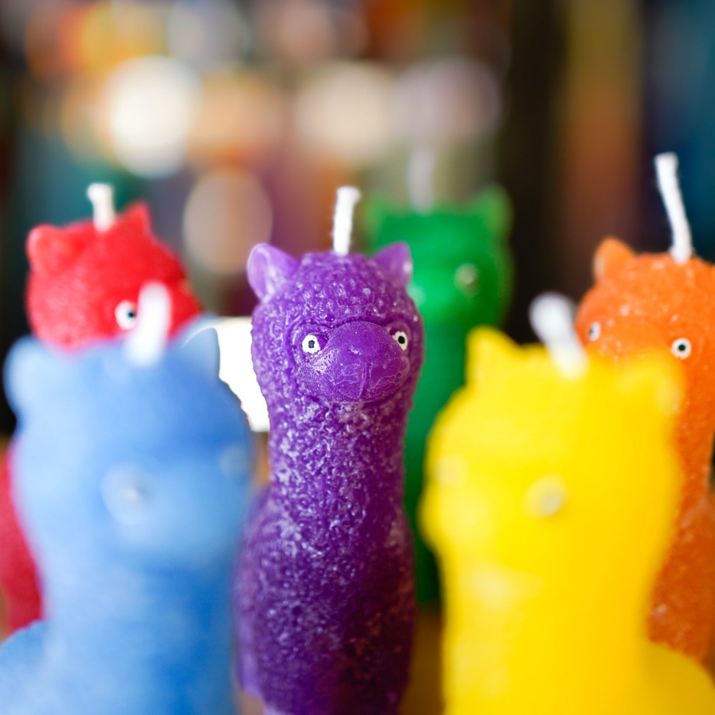 Bunte Alpaka-Kerzen aus dem großen Regenbogen-Set in Nahaufnahme