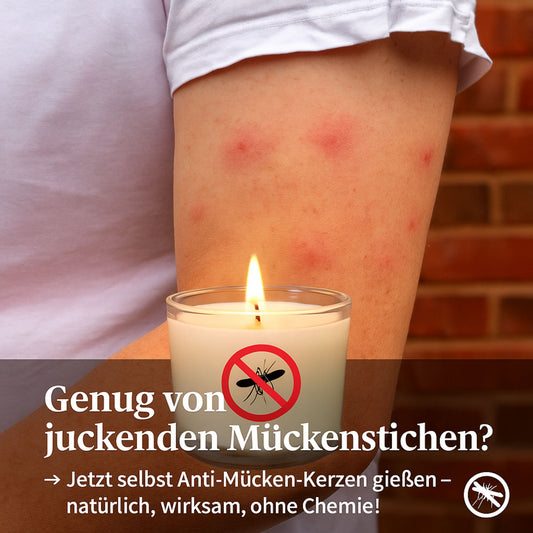DIY Anti-Mücken-Kerzen Set inkl. Gratis Deko Sticker