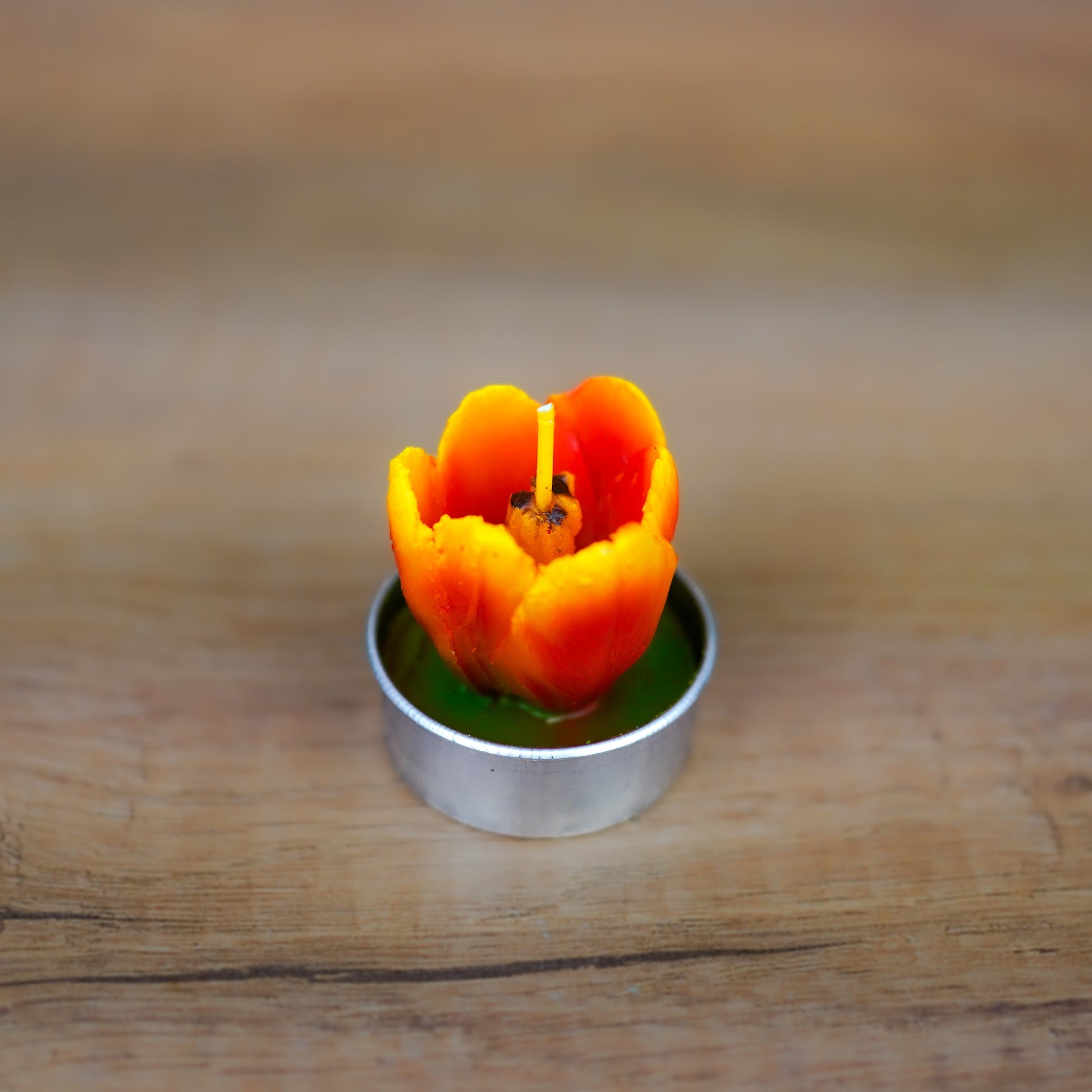 Rotes Tulpen-Teelicht in der Nahaufnahme mit detaillierter Blütenform