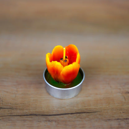 Rotes Tulpen-Teelicht in der Nahaufnahme mit detaillierter Blütenform