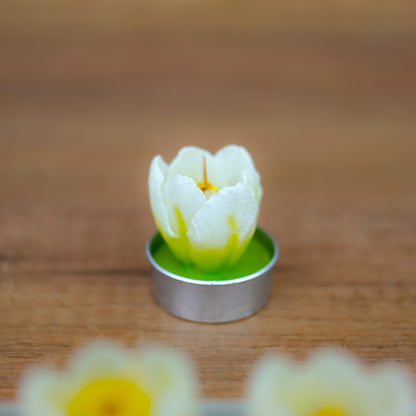 Weißes Tulpen-Teelicht in der Nahaufnahme mit detaillierter Blütenform