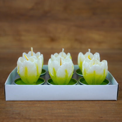 Sechs weiße Tulpen-Teelichter als Tischdeko arrangiert