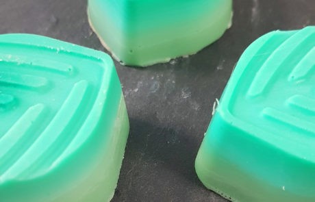 Seifen gießen Workshop Dresden Moritzburg Blätter