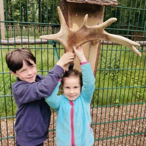 Kindergeburtstag Dresden Moritzburg Wildgehege Basteln Schatzsuche Schnitzeljagd Kinderbetreuung Klotzsche Kinder