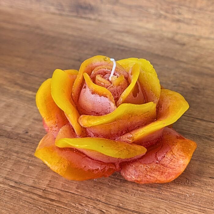Rose Gelb-Orange-Töne